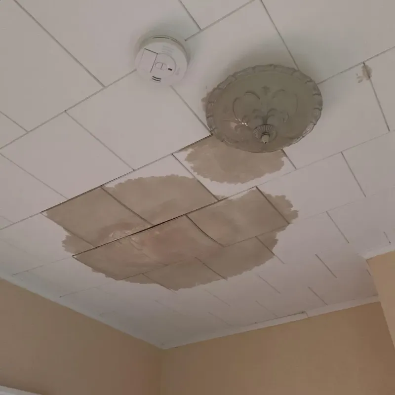 Ceiling Water Damage Repair in City of Roanoke, VA