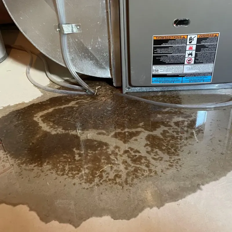 Pipe Burst and Leak Restoration in City of Roanoke, VA