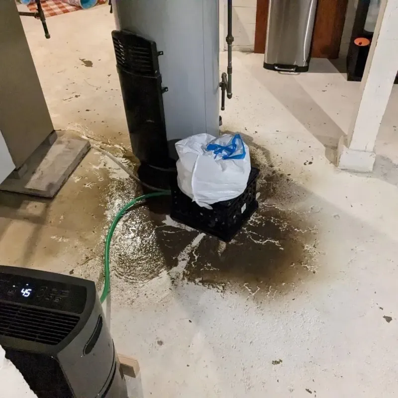 Sewage Backup Cleanup Service in City of Roanoke, VA